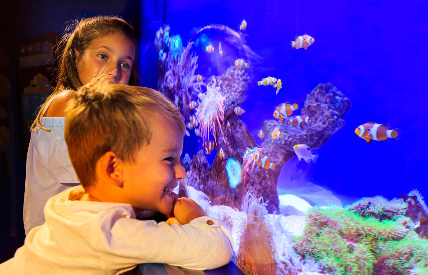 Palma Aquarium celebra su tradicional fiesta benéfica 